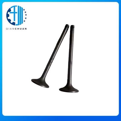 36704-01601 Exhaust Valve For S4KT S6KT Mitsubishi Excavator Spare Parts
